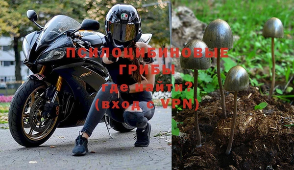 мдпв Фёдоровский